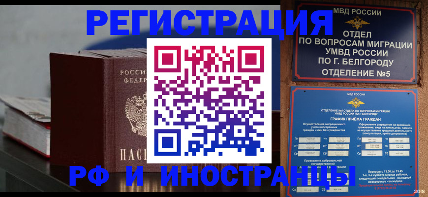 прописка 2025 в Михайловске